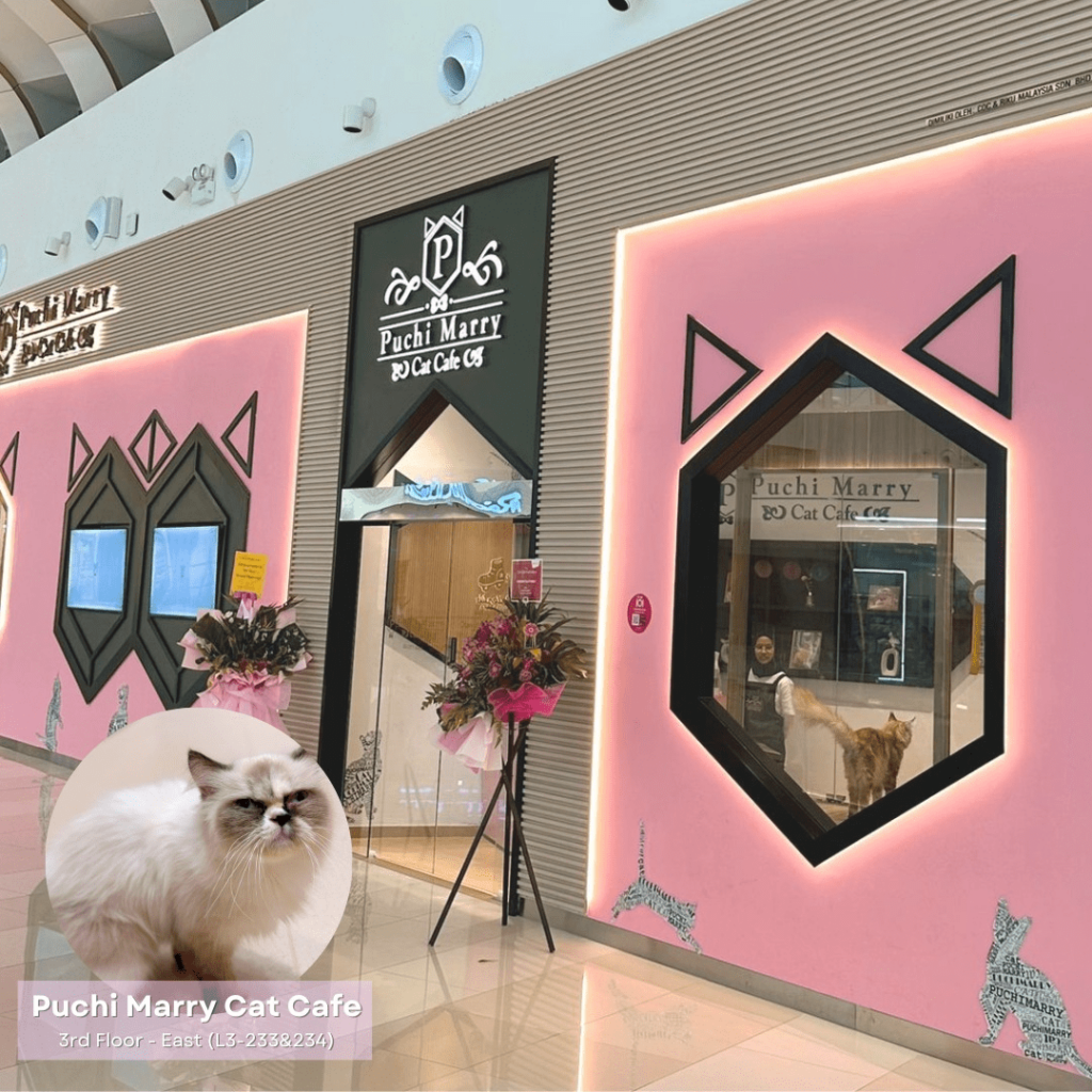 Puchi Marry Cat Cafe IOI City Mall