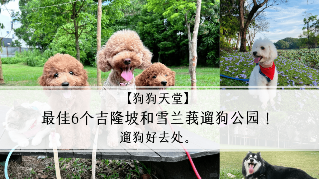 【狗狗天堂】最佳6个吉隆坡和雪兰莪遛狗公园！遛狗好去处